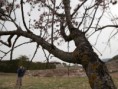 /album/fotogaleria-inicio/almedros-054-jpg/